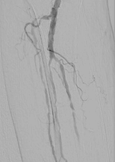 Dr. Michael Siah’s E8 Case