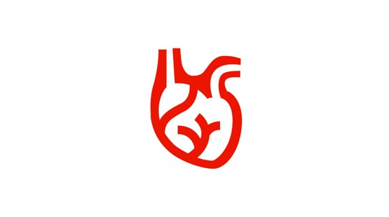 Red line icon of an anatomical heart on a plain white background